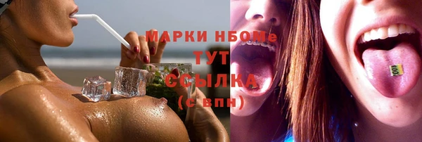 винт Алзамай