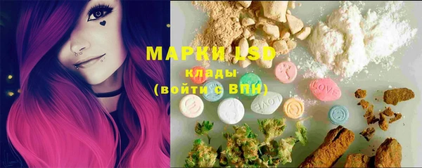 винт Алзамай