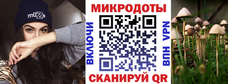 дарнет шоп  Павлово  Галлюциногенные грибы Psilocybe 